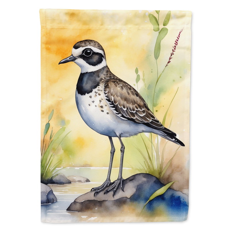 Drapeau de jardin Surfbird Bird, Pluvier doré américain