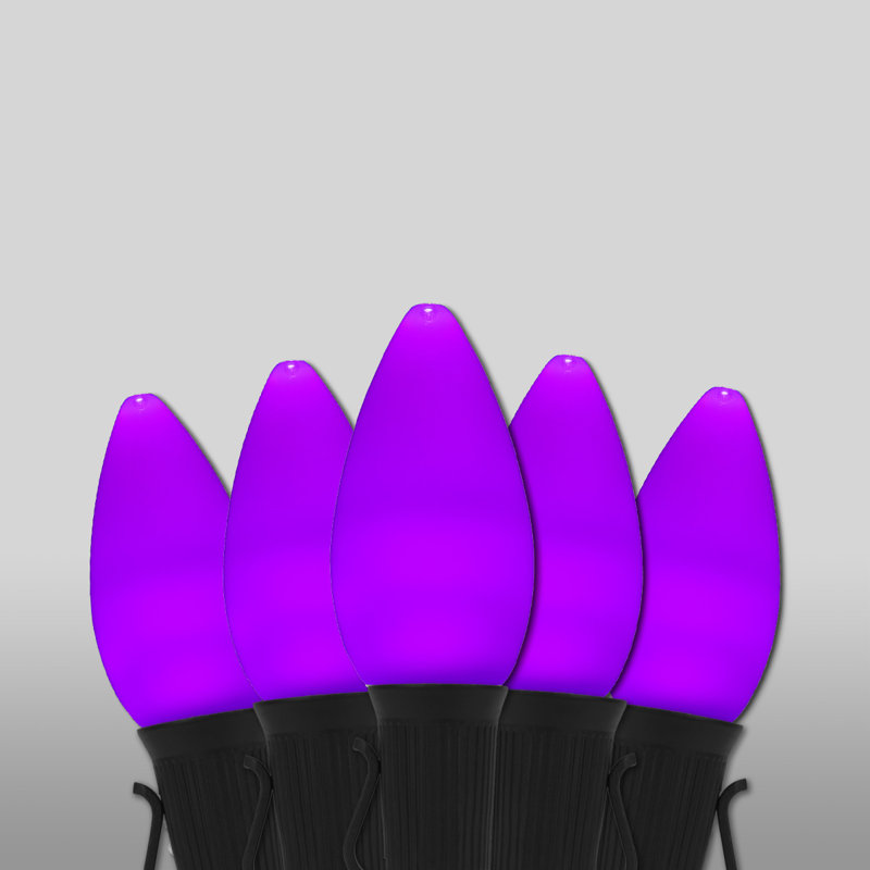 600'' String Lights, Purple