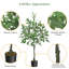 Faux eucalyptus artificiels avec eucalyptus-440272941