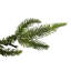 Sapin de Noël artificiel 6,5 pi avec lumières DEL blanc chaud Roosevelt-844161914