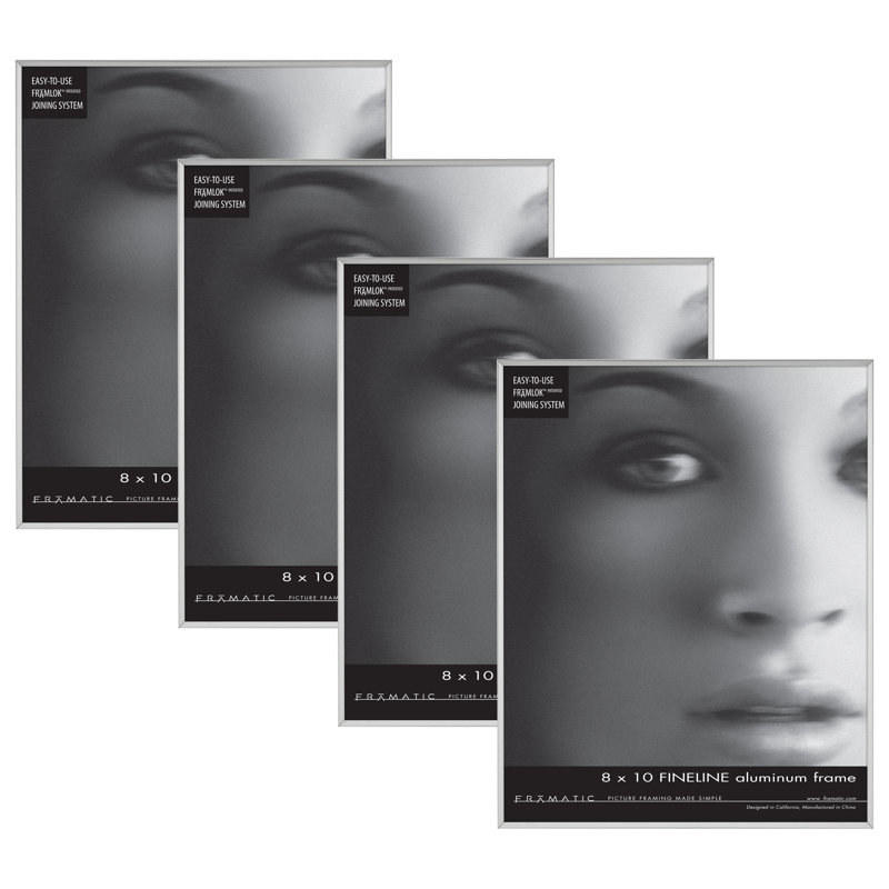 Silver Metal Matte Picture Frame with Mat