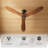 Bria 59.8'' Ceiling Fan