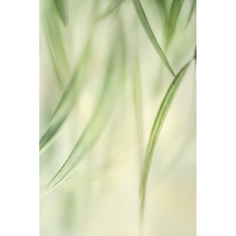 Harmonic II by Dianne Poinski - Painting, 91 cm H x 61 cm W, Wrapped Canvas