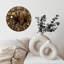 Horloge murale ours