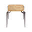Tarsal End Table