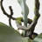 Cunha Faux Fern Plant-1046178014
