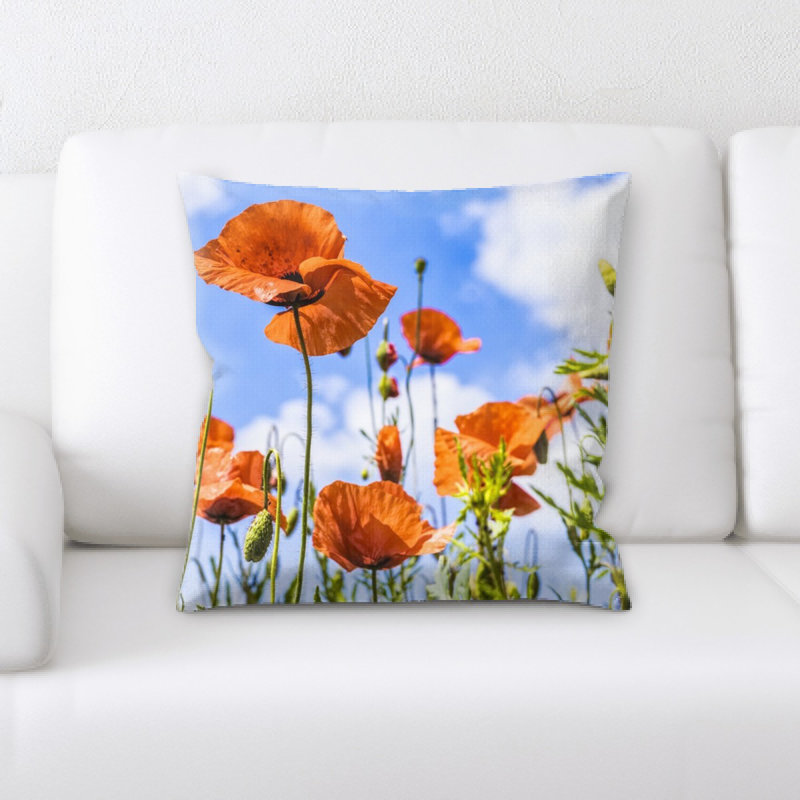 Coussin de jeté