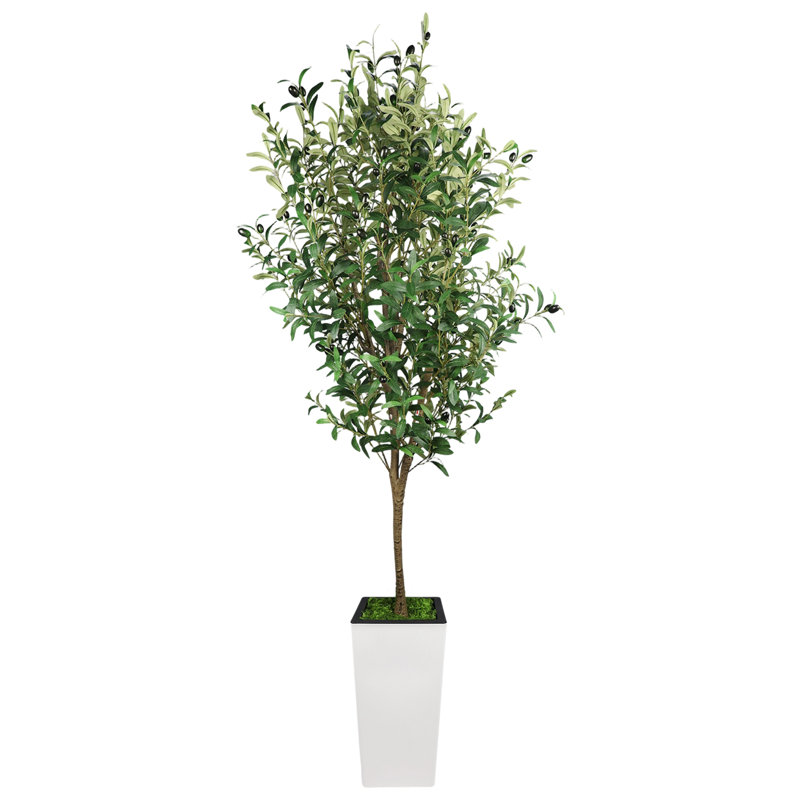 Plant, 182.9cm H x 23cm W x 100cm D