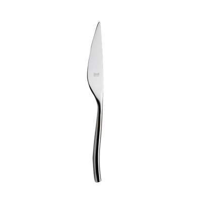 Arte Stainless Steel Dinner Knife