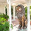 Statue de lion assis sur une base en bronze - sculpture Hembree pour décoration de jardin et de porche, L 13 po x l 13 po x H 34 po