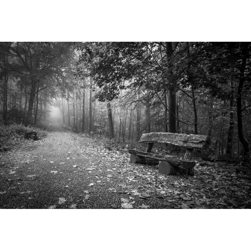 Bench In A Forest by Pr3t3nd3r - Wrapped Canvas Print, 81cm H x 122cm W