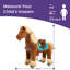 Cheval d'équitation brun modèle X-90993427