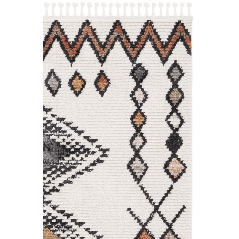 Baar Tassel Performance Southwestern Rug, Rectangle 9' x 12'