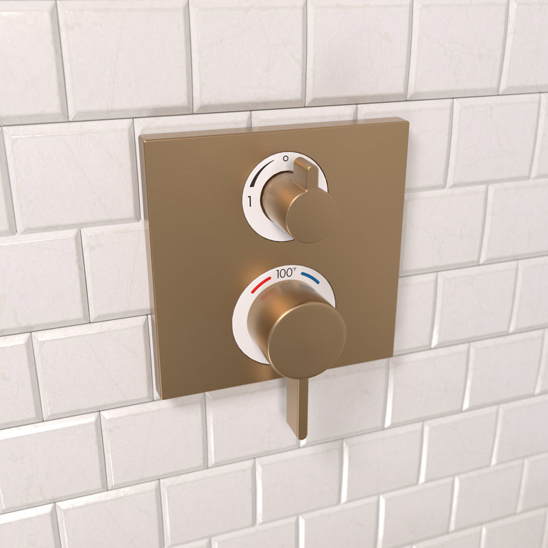Ecostat Thermostatic Shower Faucet Trim, Brushed Bronze
