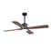 Jovaniel 54'' Ceiling Fan with LED Lights
