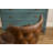 Laurinda Faux Leather Wingback Chair