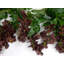 66'' in. Faux Garland-800203731