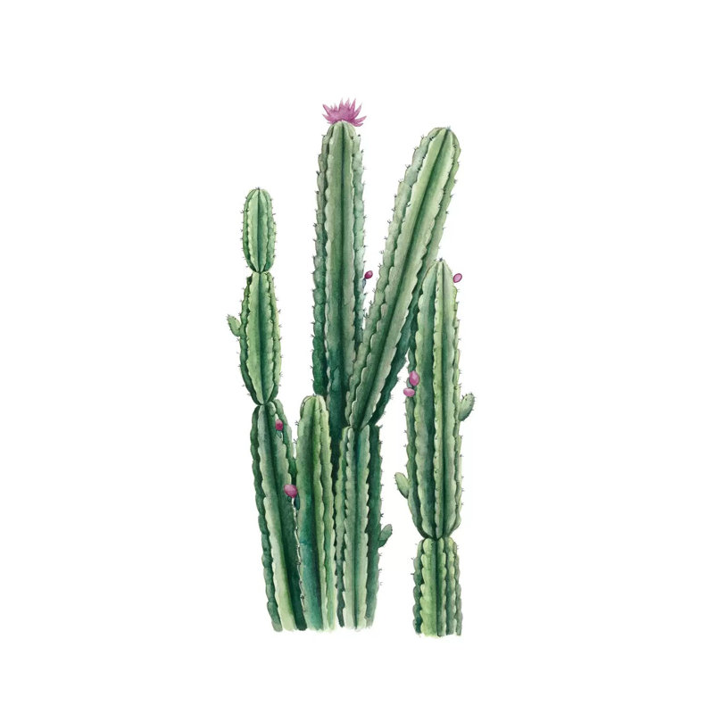Desert Blooms II by Grace Popp - Wrapped Canvas Painting, 20.32 cm H x 30.48 cm W