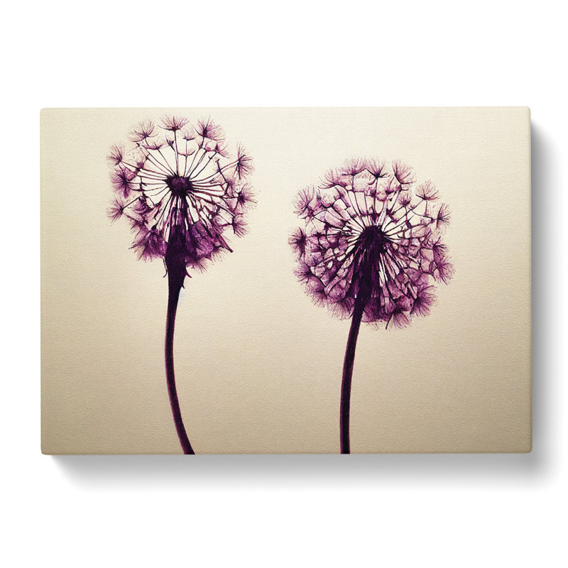 Dandelion - Wrapped Canvas Print, 35cm H x 50cm W x 3cm D