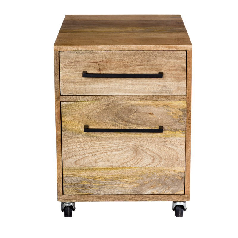 Colvin 2-Drawers Mobile Vertical File