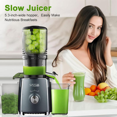 Juicer Model 802L