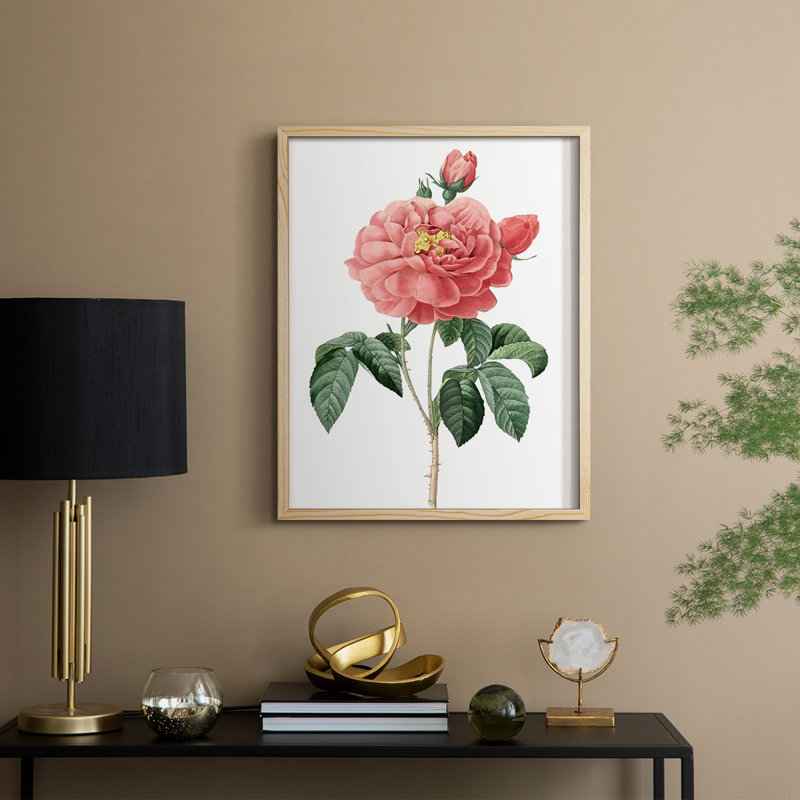 «Botanical Beauty III», reproduction encadrée - bois massif, H 30 po x l 24 po, Naturel