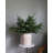 Cedar Juniper Branch 30"