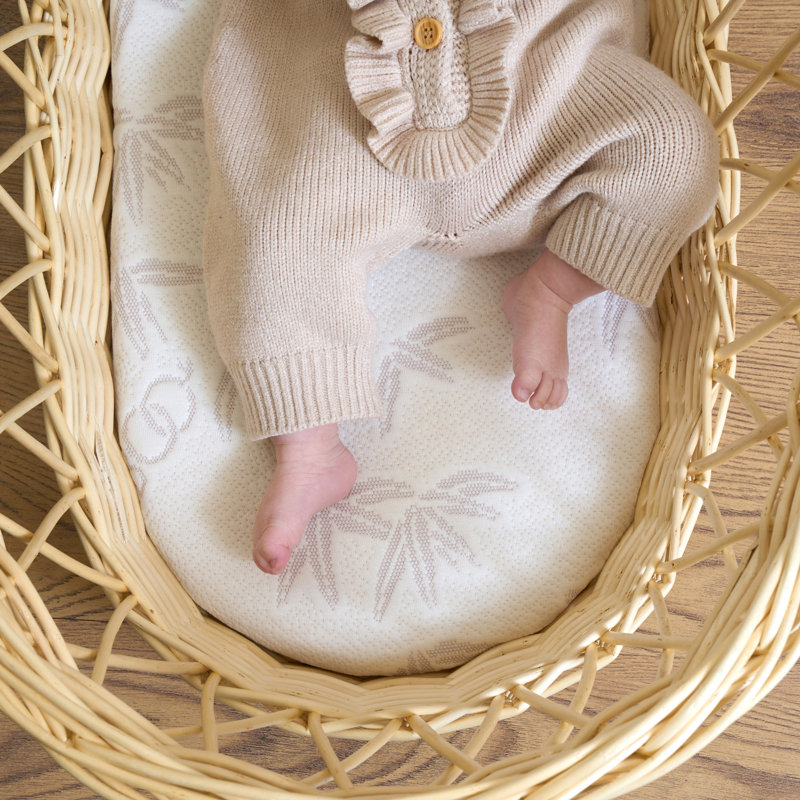 Clair De Lune Coconut Fibre Mattress, Moses Basket (28 x 65 cm)