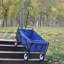 Chariot de plage pliable-113855340