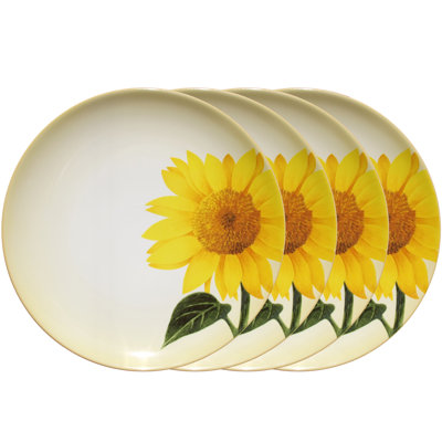 Assiettes décoratives Noritake Colorwave, 8 1/4 po