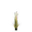 Faux Pampas Grass Grass in Pot-70917897