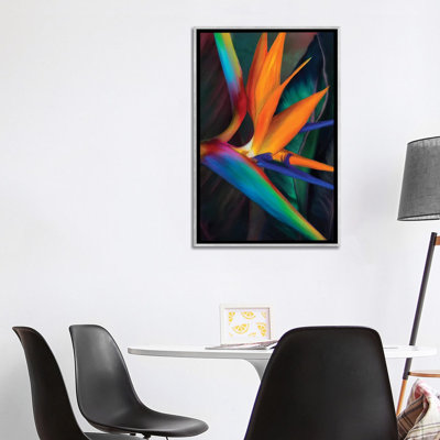«Birds of Paradise» par Juliana Loomer - reproduction