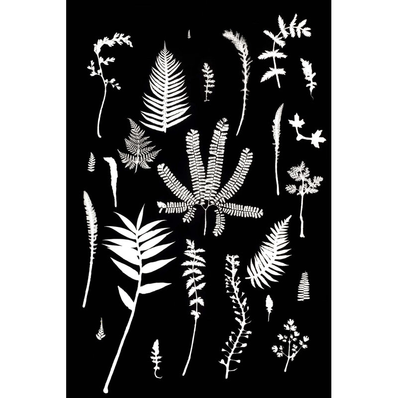 «Botanical Collage 3» par Eric Linton - reproduction sur toile
