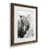 Walnut Framed