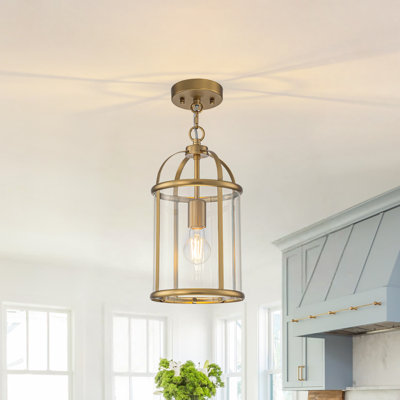 1-Light Cage Clear Glass Cylinder Single Pendant