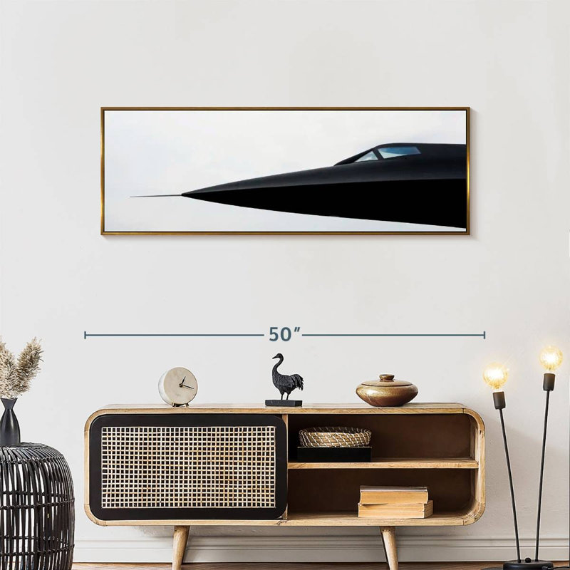 Avion militaire Blackbird, 46 po x 16 po, Cadre flottant doré