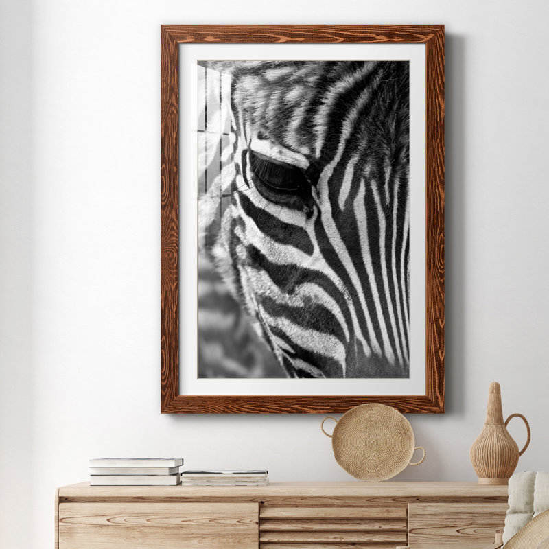 Zebra Colt - Photographie avec cadre photo, Cadre en érable, H 31 po x l 44 po x P 1 po