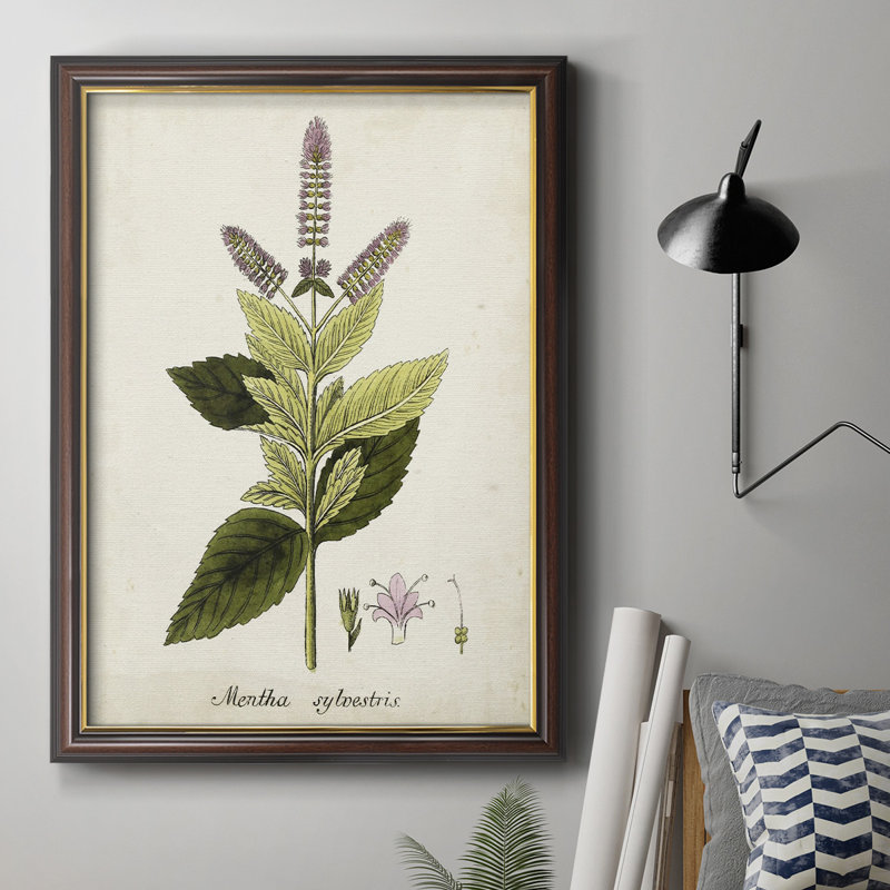 Antique Herb Botanical VI - Peinture sur toile encadrée, H 20 po x l 16 po x P 2,5 po