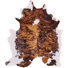Amber Brown