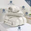 Ensemble d'édredon plissé avec draps Bed-in-a-Bag-103134068-103134072