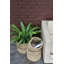 Evalena Seagrass Basket With Handles