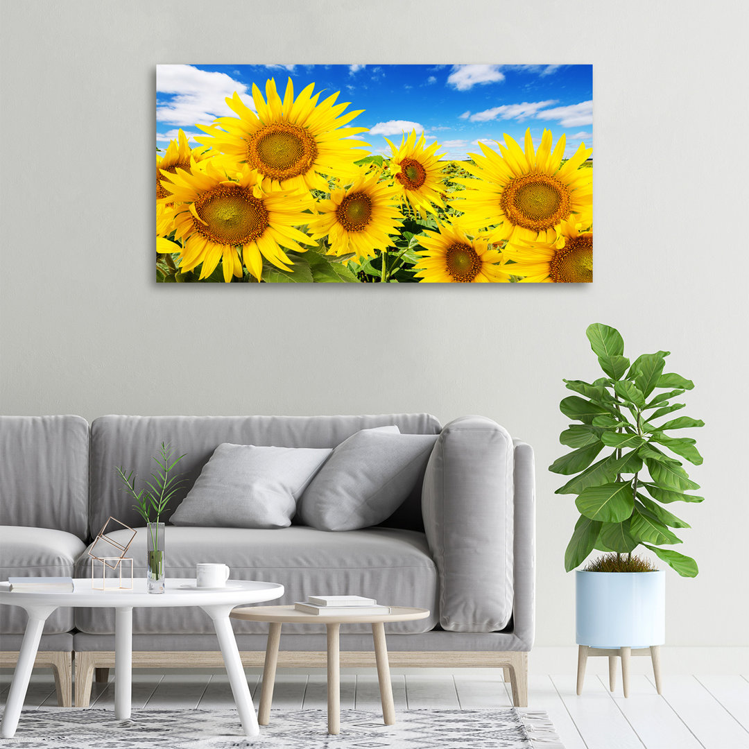 Sonnenblumen - Kunstdrucke auf Leinwand - Wrapped Canvas