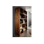 Duke 200cm H x 115cm W Solid Wood Standard Bookcase