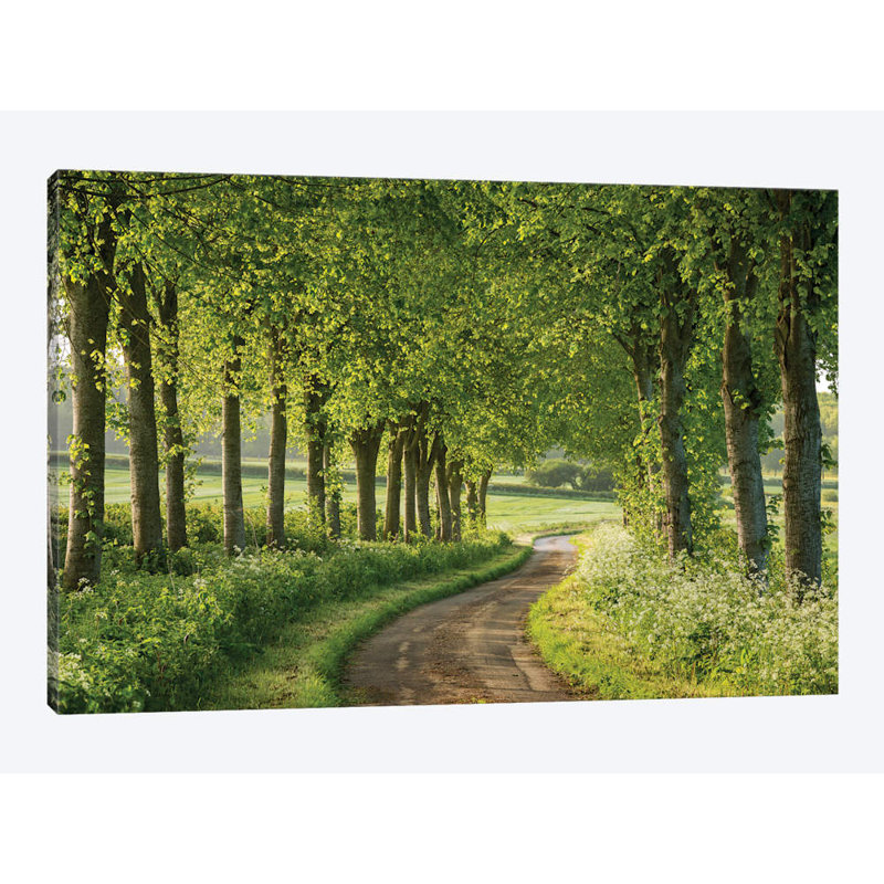 Adam Burton - Print on Canvas, 66.04 cm H x 45.72 cm W x 1.91 cm D, Wrapped Canvas