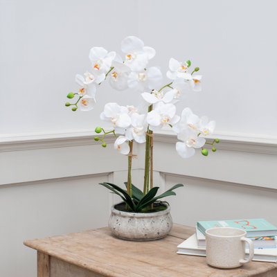 Arrangement