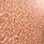 Terra Cortona Piazza 10x10 Matte Terracotta Mosaic Tile