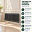 Horizontal Traditional Colosseum Radiator-330588458-330588459