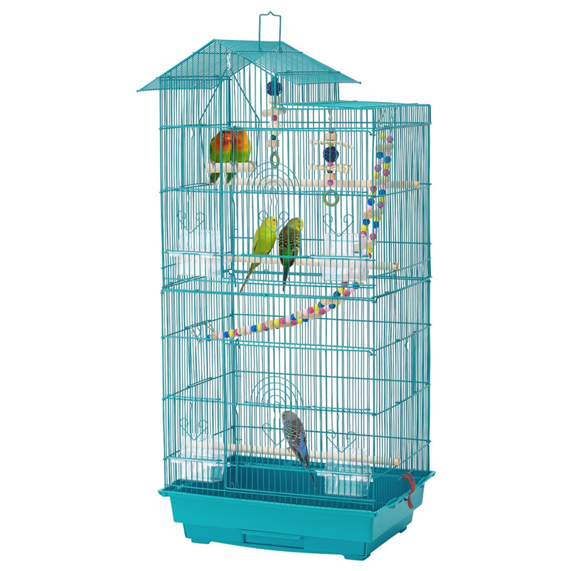 Iron Pointed Top Floor Bird Cage with Perch, Blue