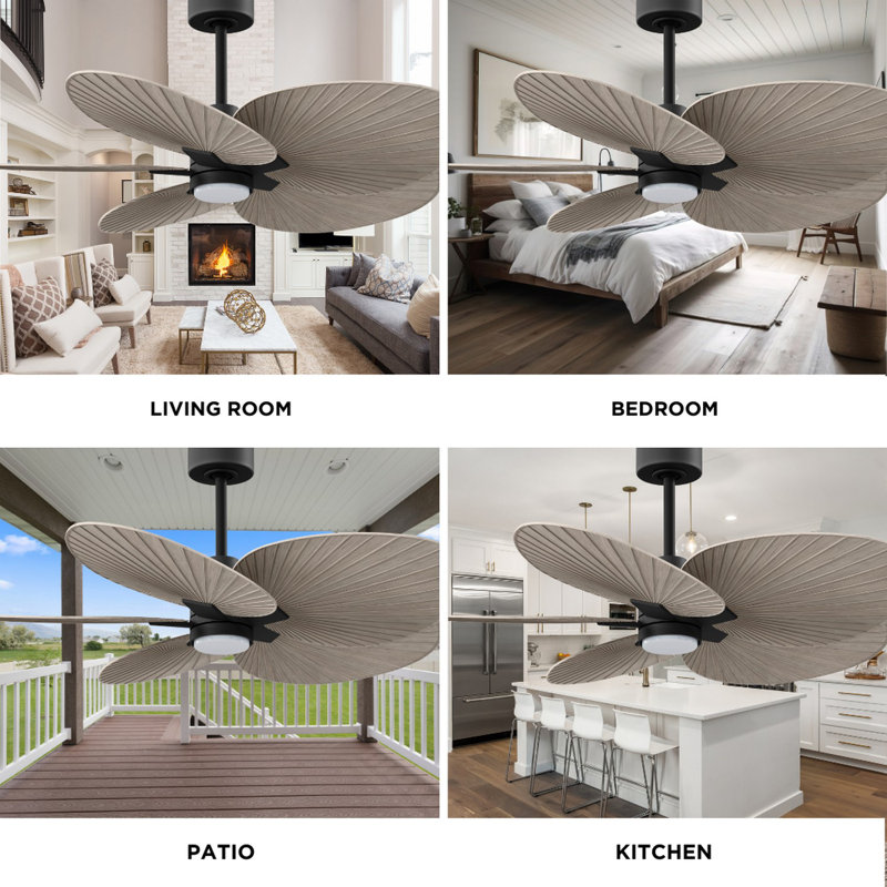 Alessandra Tropical - Five Blade Ceiling Fan - Integrated LED -Matte Black Finish -Light Blue Blades, Matte Black