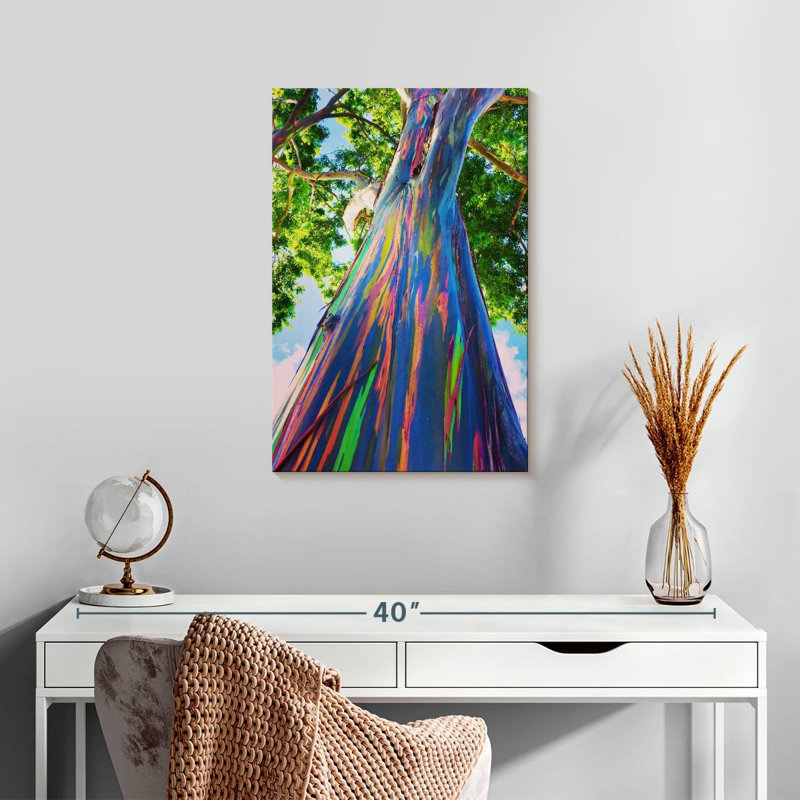 Eucalyptus hawaïen Harnek, H 24 po x l 16 po